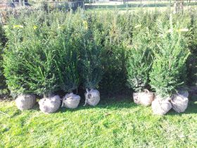 20121031_101809.jpg